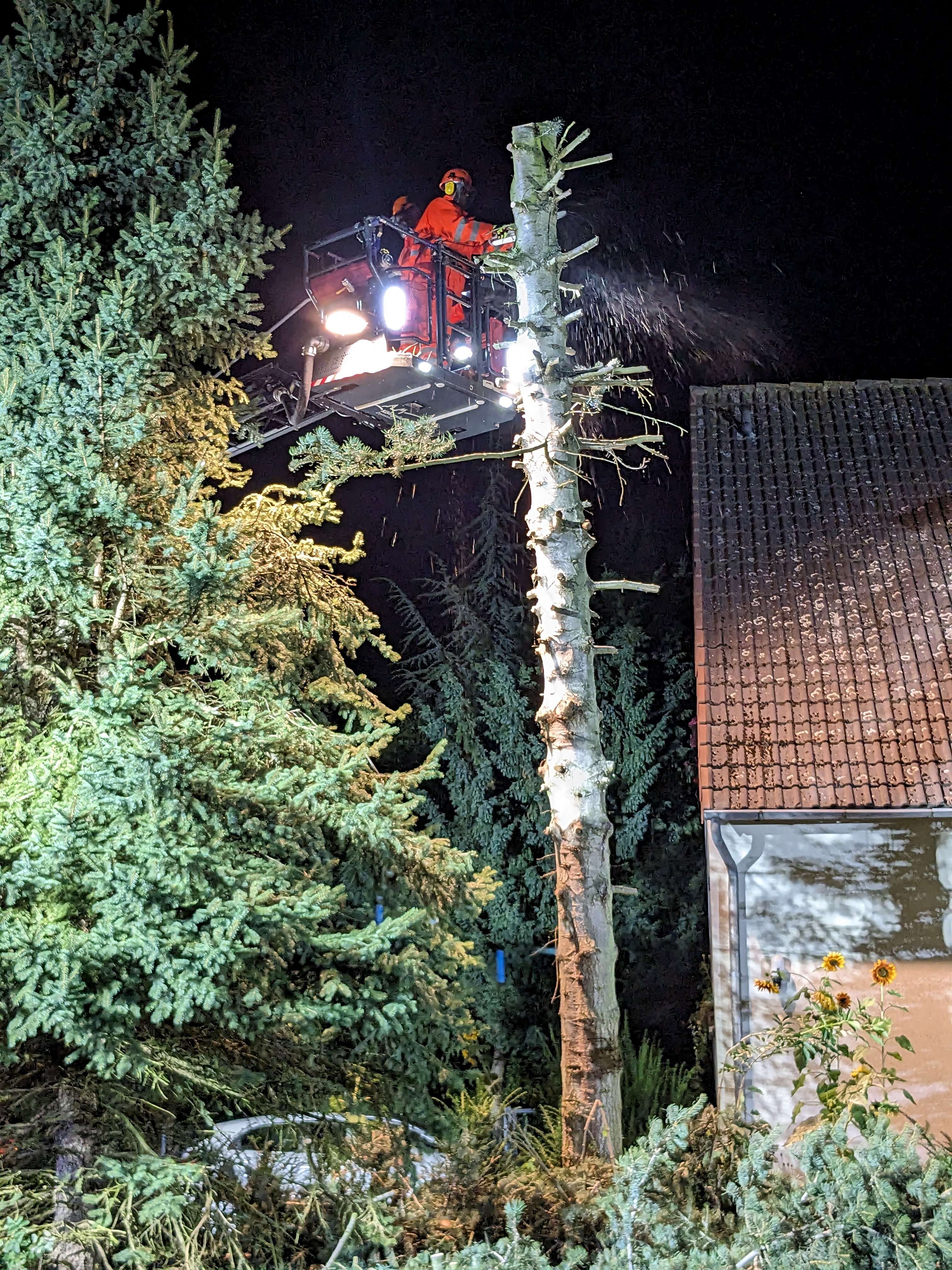 PXL 20230926 183016155